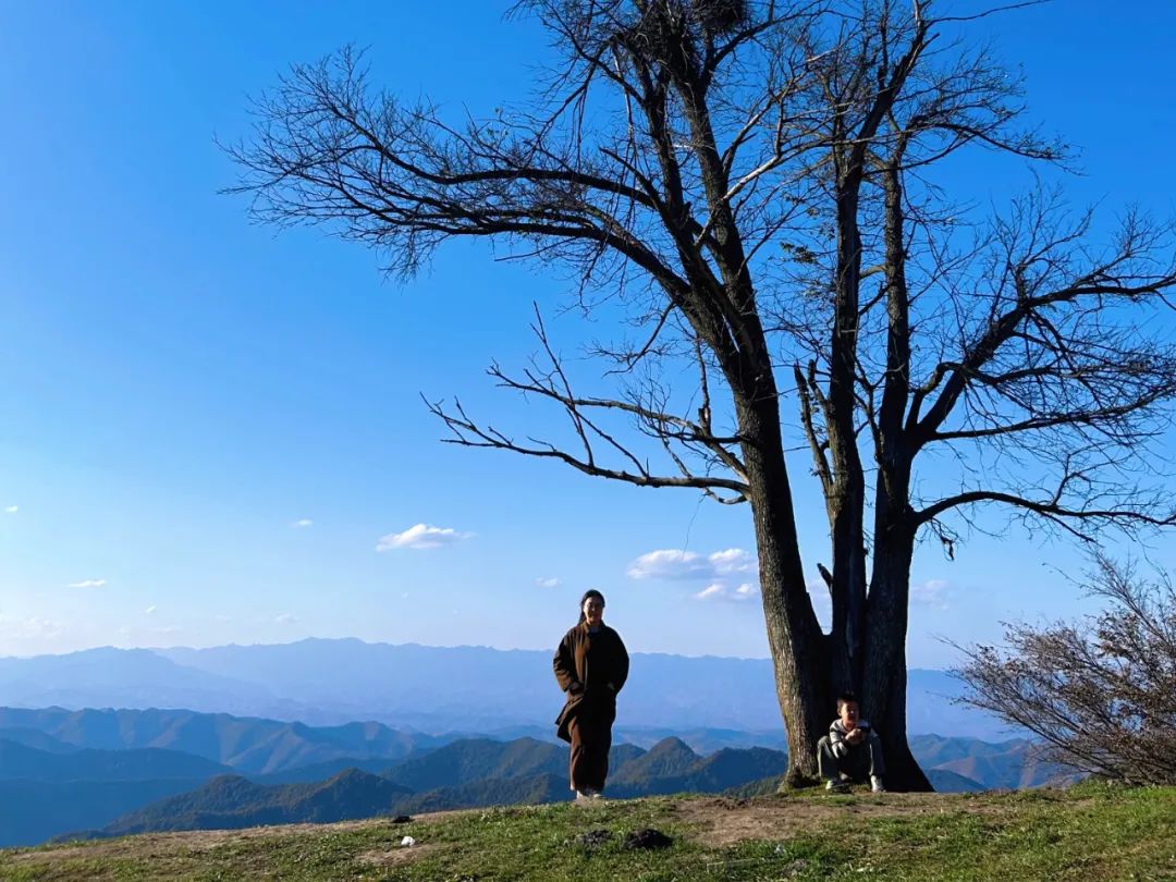 我发现长期看书的人都有一个共性