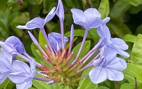 关于教育部学科目录的思考