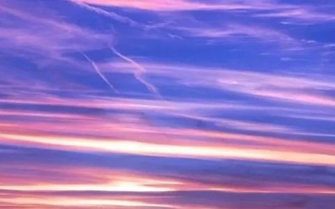 微信图书榜热推的4本有一定深度的好书！