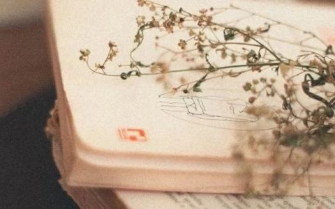 主动阅读：如何成为一个更好的读者