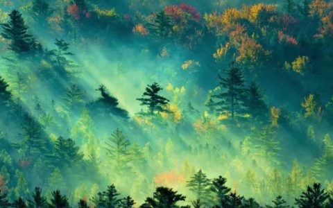 社科文献出版社推荐的8本有深度的较少再版的世界史佳作！