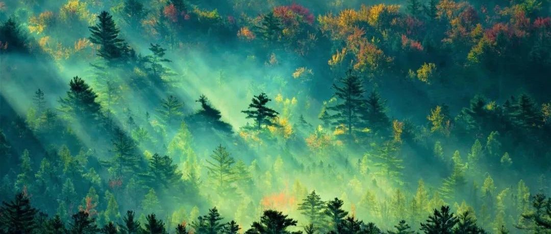 社科文献出版社推荐的8本有深度的较少再版的世界史佳作！