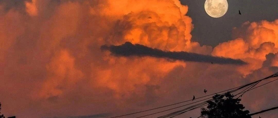 强烈推荐这三本文豪经典，每一本都不容错过！