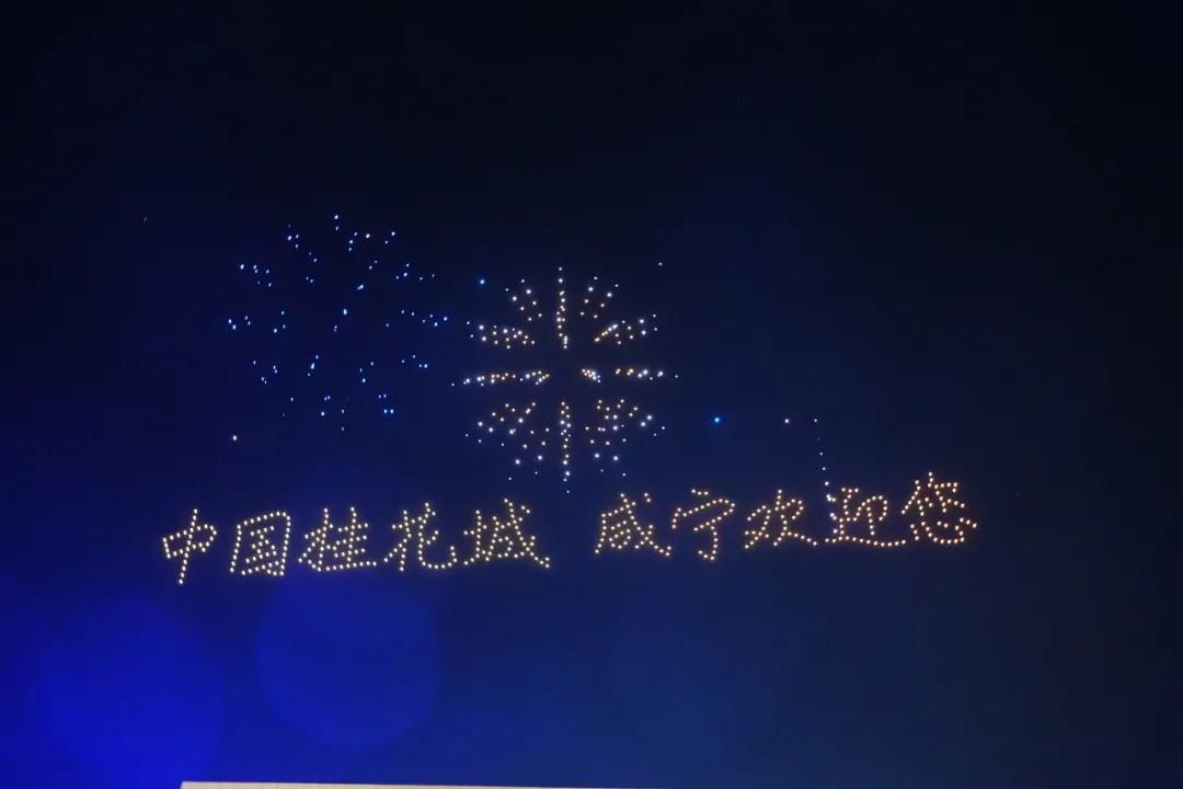 咸安区图书馆延迟闭馆助力桂花文旅主题展演