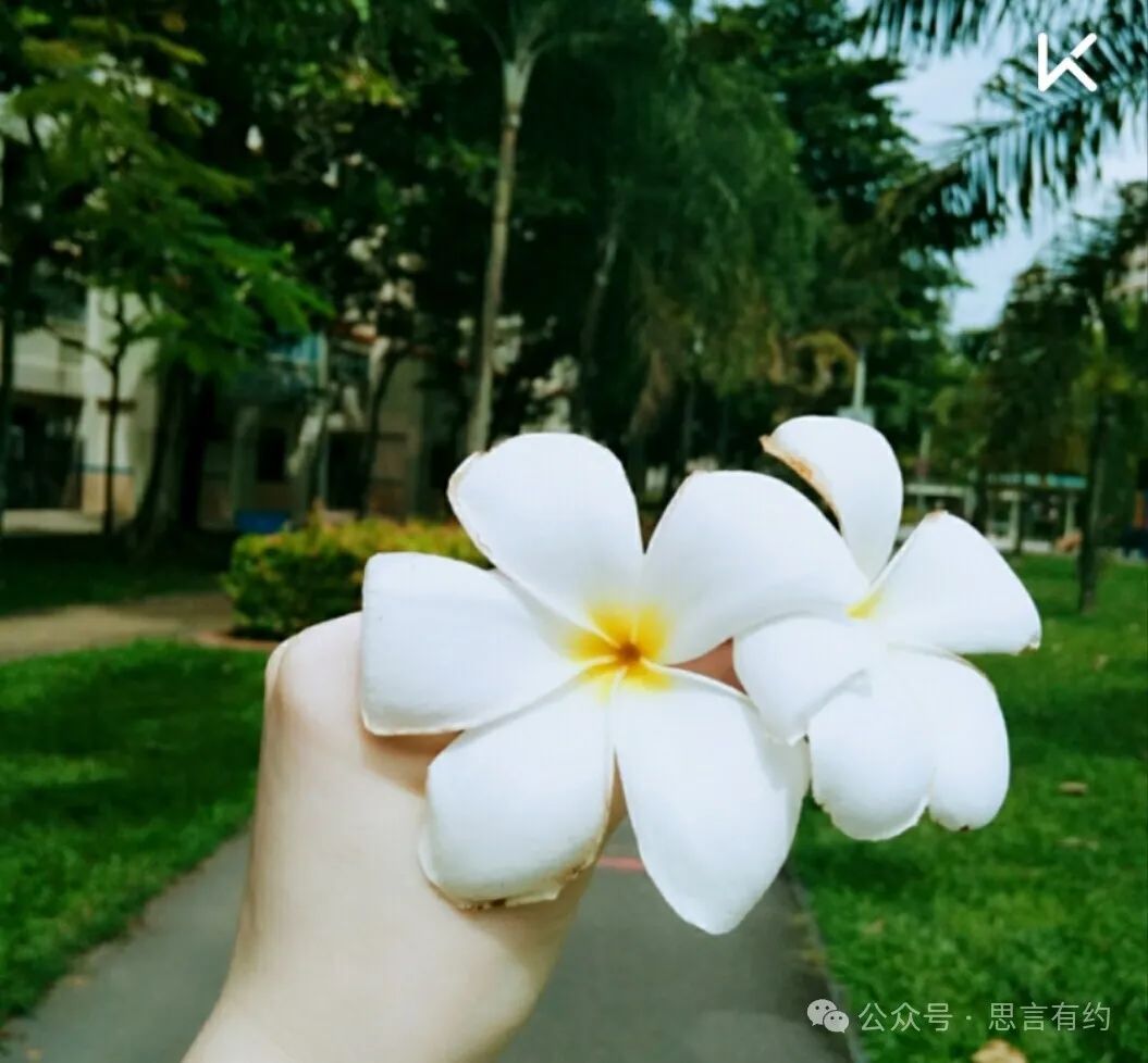 豆瓣9.0,这才是当下我们最应该读的书,强烈推荐