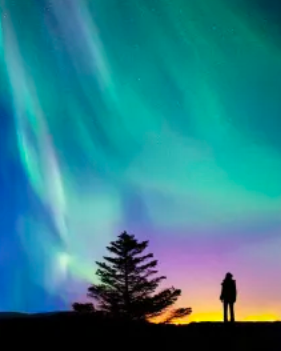 荆州市图书馆讲座预告：楚都讲坛——旅行拍照秘籍大公开