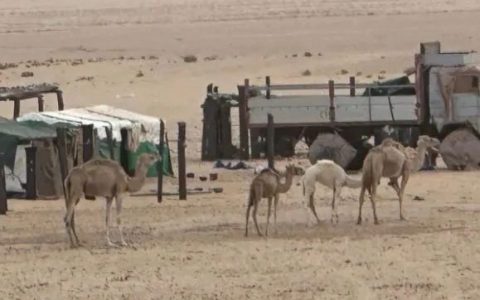 他带着《全球通史》这本书走遍世界，只因曾被它刷新世界观