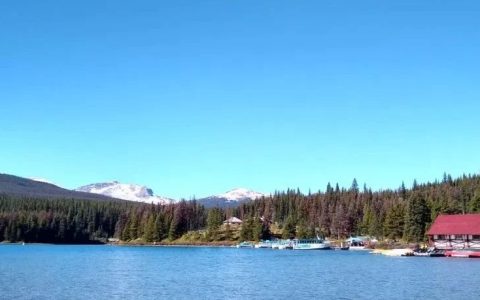 鄂鹤年：新环境下高校图书馆的坚守和变革