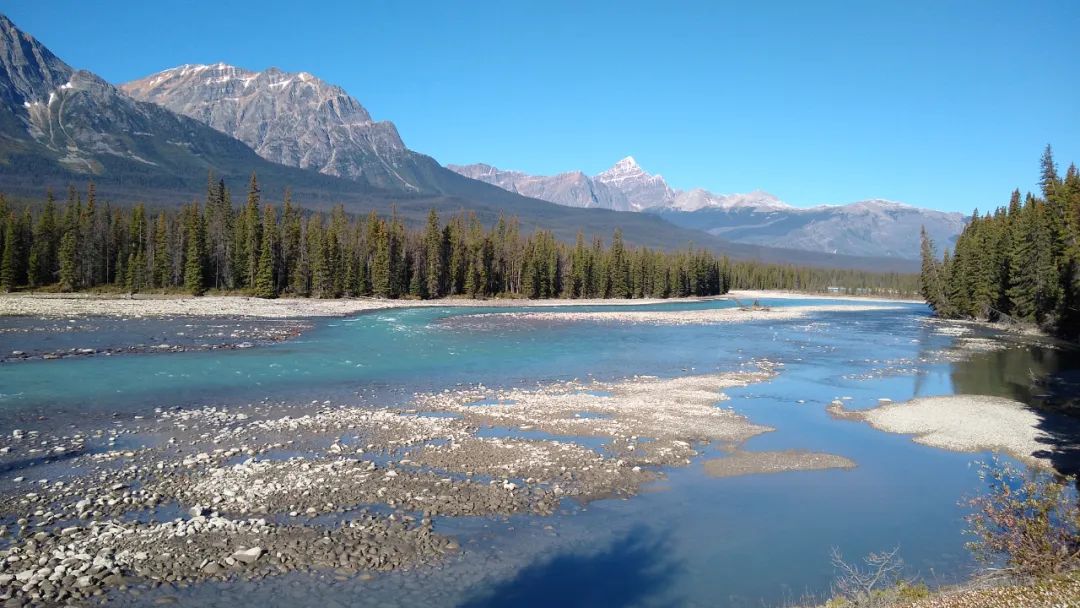 鄂鹤年：新环境下高校图书馆的坚守和变革