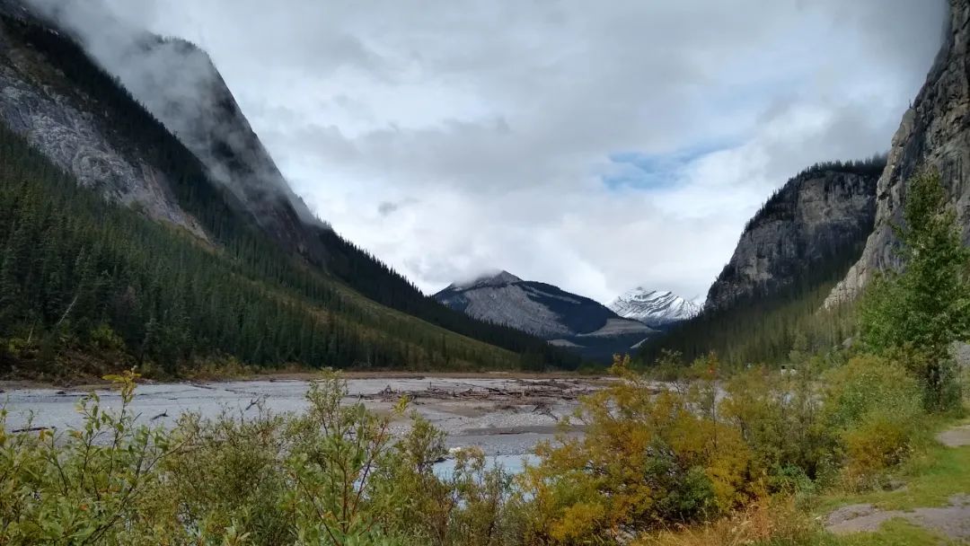 鄂鹤年：新环境下高校图书馆的坚守和变革