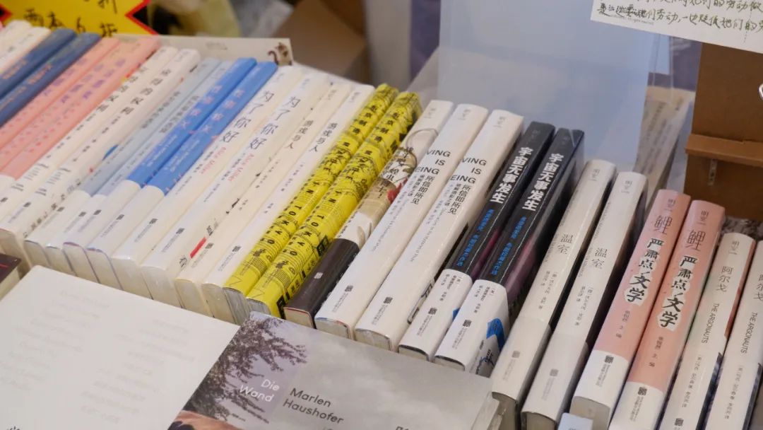 在做書当志愿者，缓解了我的存在主义危机