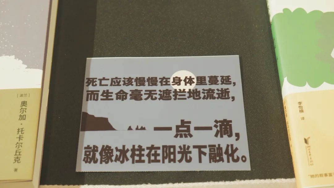 在做書当志愿者，缓解了我的存在主义危机