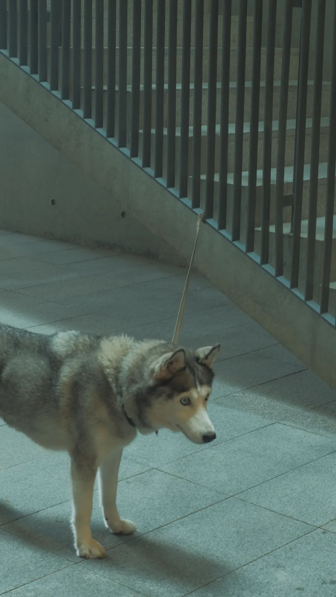 在做書当志愿者，缓解了我的存在主义危机