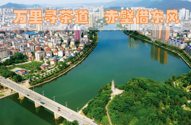 【赤心不改·童趣无限】赤壁市图书馆活动预告 | “微笑勇士的奇妙旅程”健康口腔阅读推广活动