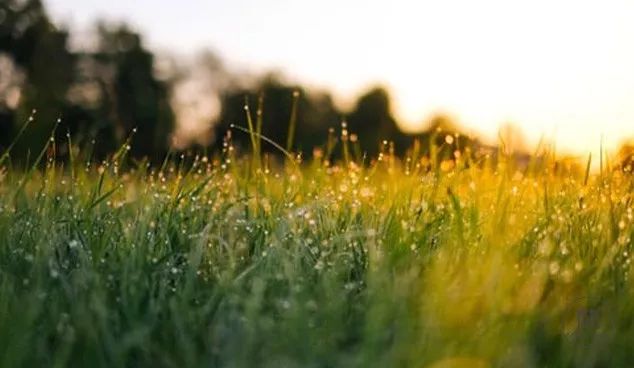 发现一个奇怪的现象：兄弟姐妹中，那个最大方、最宽厚、最不斤斤计较的人，往往日子过得更好，孩子一般也很优秀！