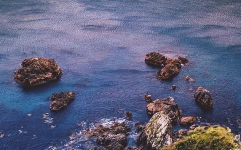 说说最近看的一本书