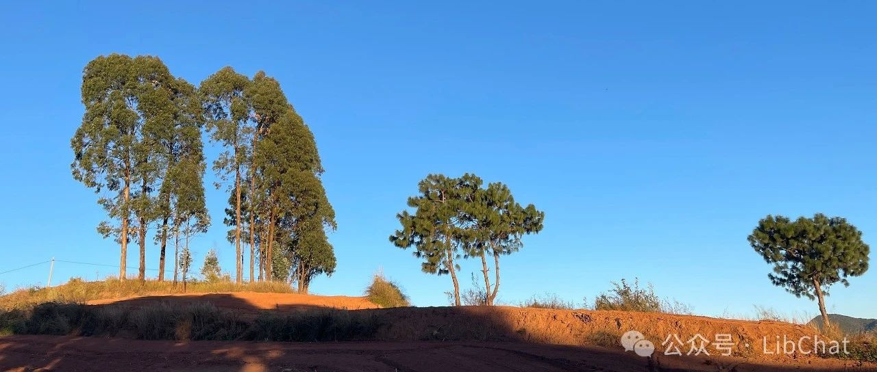 推书网2024年11月18日电子书分享：老而不衰的科学、快乐的理由、往昔之歌