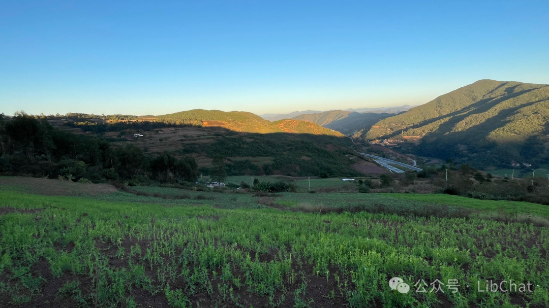 闲话时间管理与健康