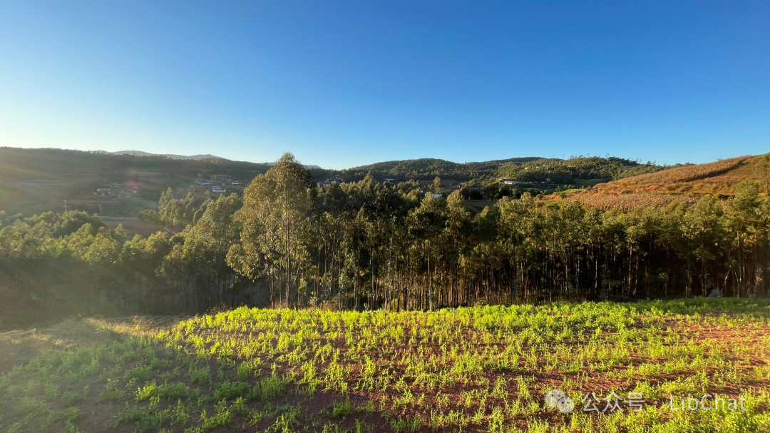闲话时间管理与健康