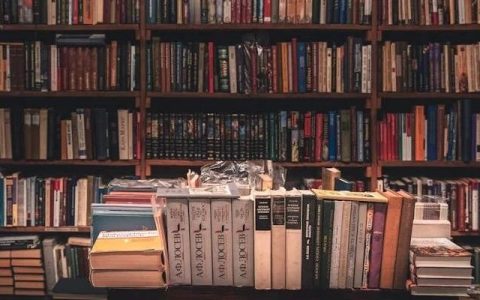 2024年美国城市图书馆委员会图书馆洞察报告