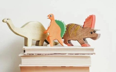 儿童中文分级读物的现状与未来