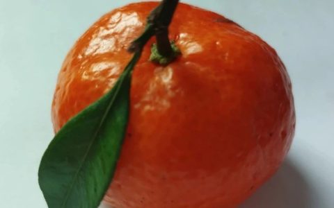 時間匱乏、心情和洽的一天