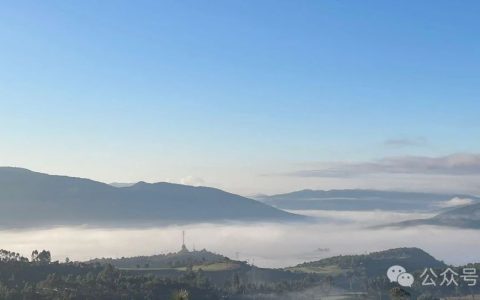 什么样的图书馆是好的图书馆?