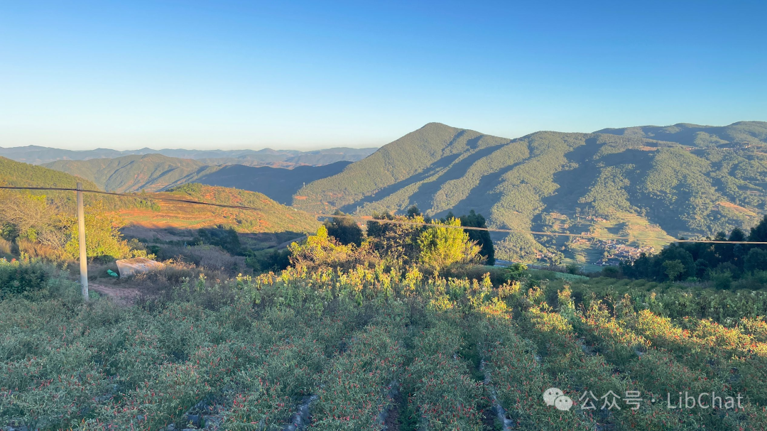 什么样的图书馆是好的图书馆?