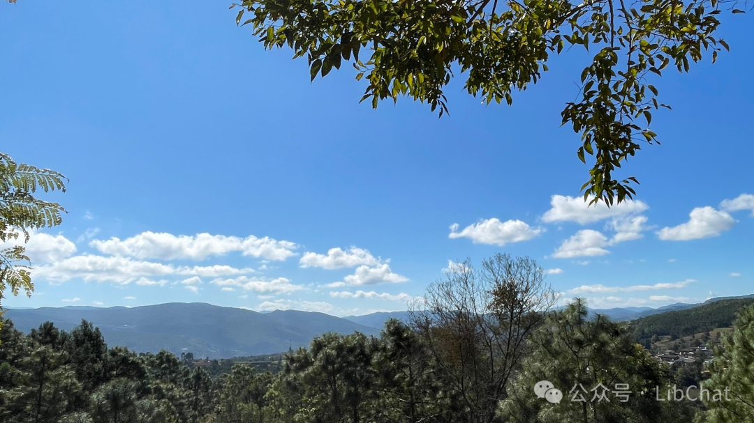 什么样的图书馆是好的图书馆?