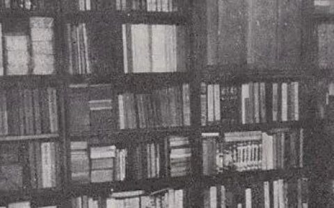 什么是基本藏书/basic collection/？