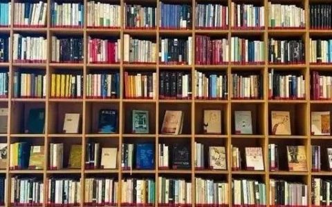 什么是图书馆藏书/library collection: library holdings/？