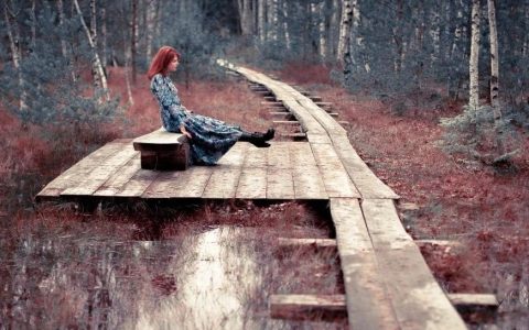 读完近100本书，2024我的读书体会分享