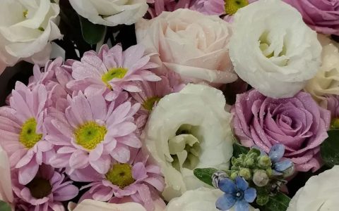 团队准备解散了