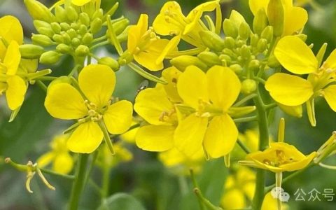 关于查收查引服务的思考