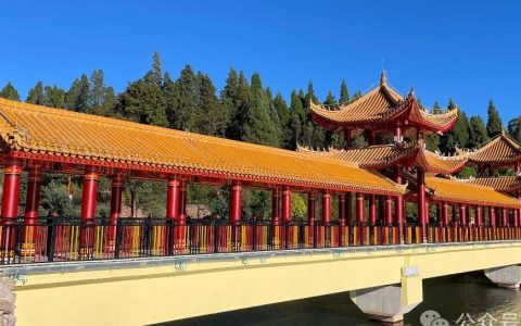 田野：图书馆信息学领域“非传统学术”职业演变模式与前景