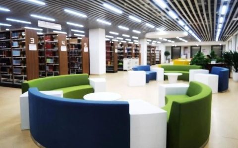 2025年如何推进图书馆工作：从AI应用看图书馆的业务发展