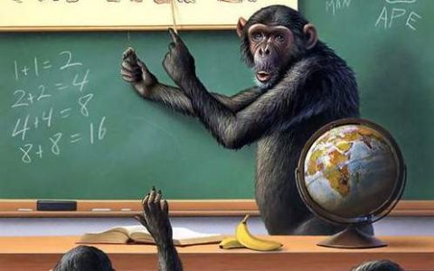 一语中特：适者生存。打一精准生肖动物，科学解答解释落实