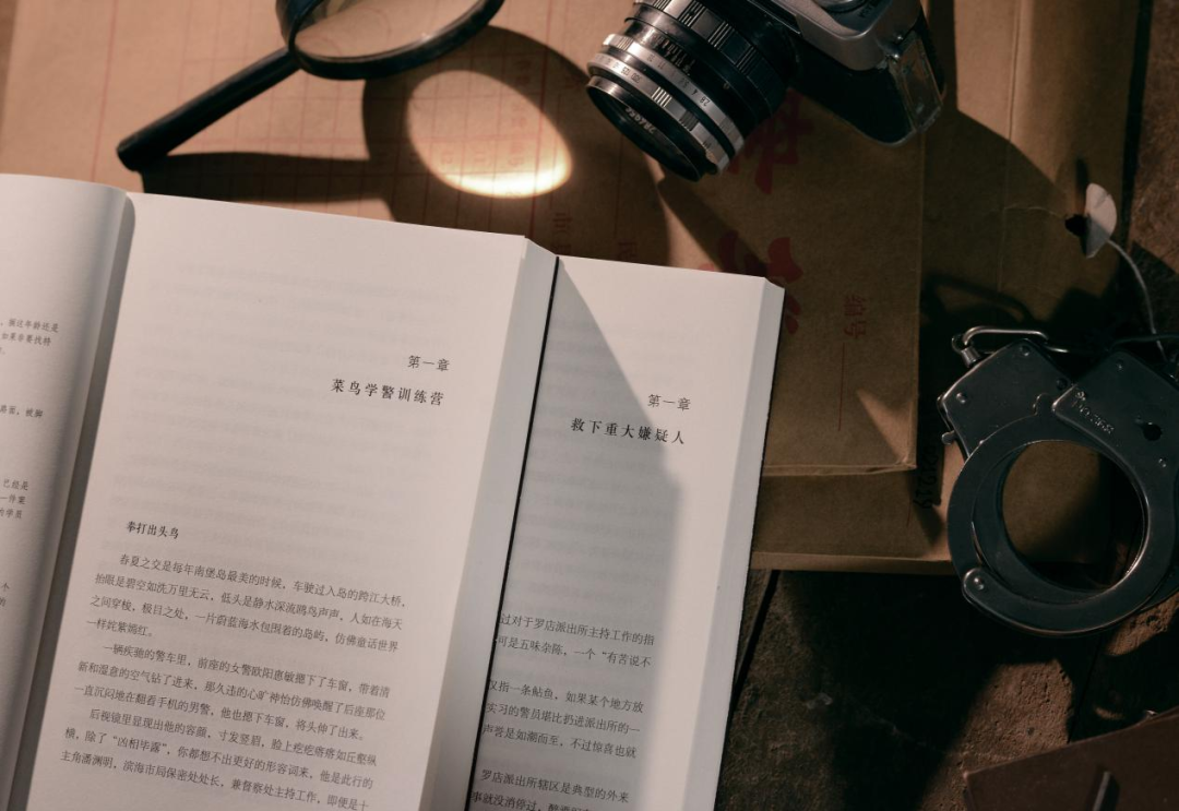 都2025了,谁还没看过这部警察小说天花板?