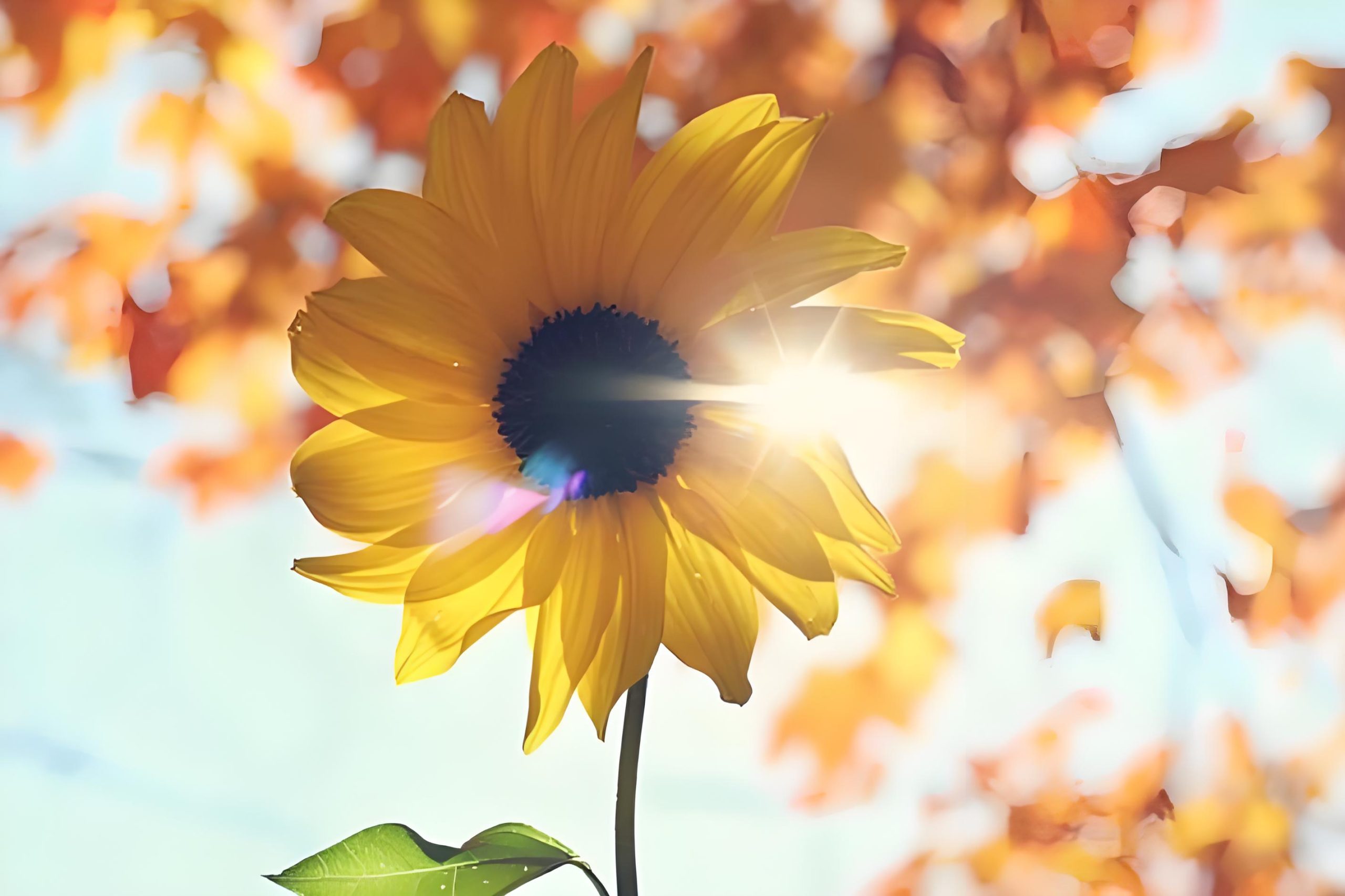 推书网2025年新年寄语：向着笑容更多、心里更暖前行