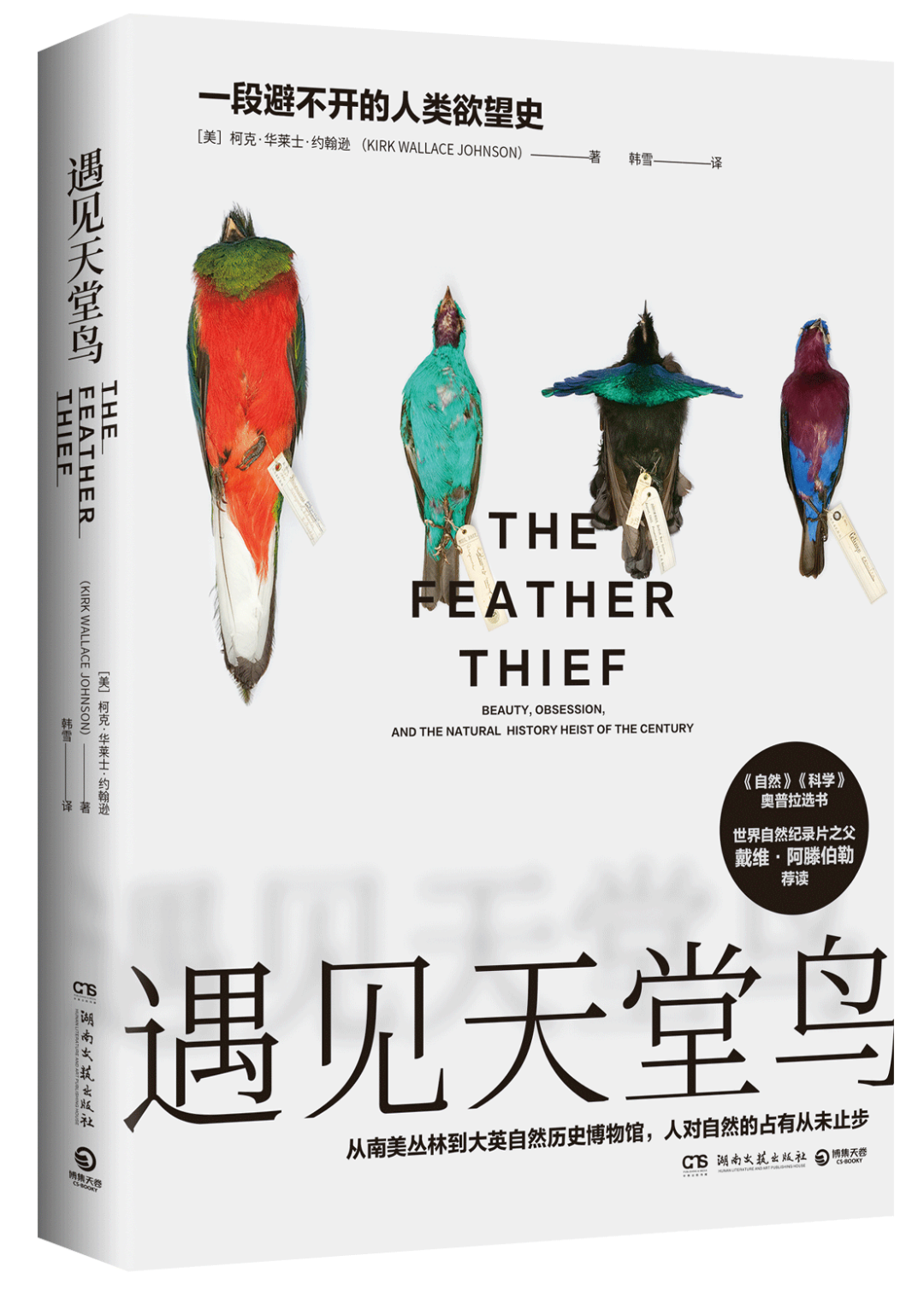 推书网好书2025年02月04日分享：百术不如一诚、遇见天堂鸟、迷路员