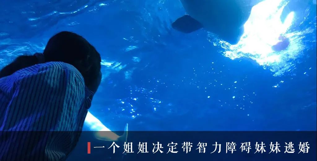 榜单 | 真实故事计划2024年最值得阅读的7篇故事