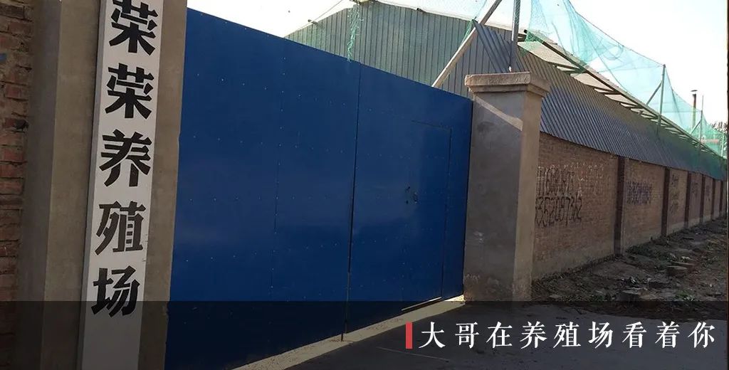 榜单 | 真实故事计划2024年最值得阅读的7篇故事