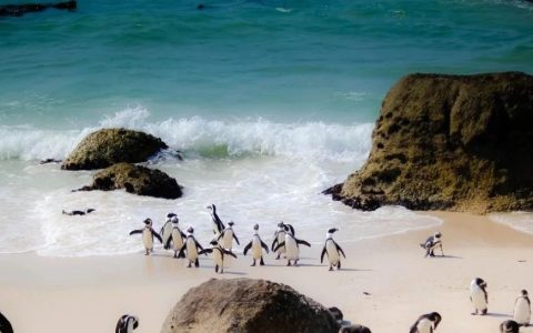 新年第一次赠书名单来了！