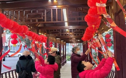 元宵佳节送书香，文化惠民暖人心：武汉图书馆开展“我们的节日·元宵节”文化志愿服务活动