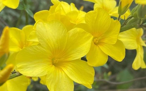 文献传递服务有感