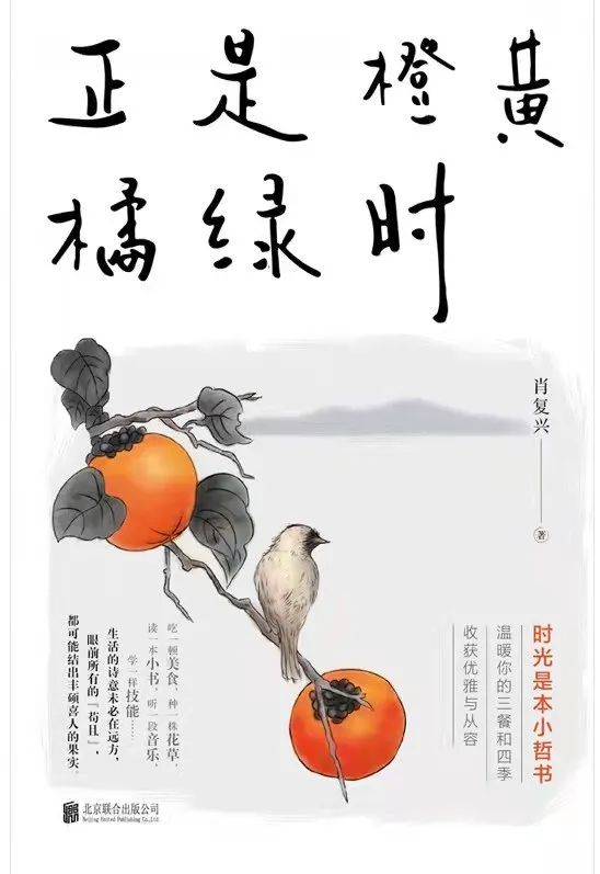 人民日报推荐的10本优秀散文集，提升文笔一定不能错过！