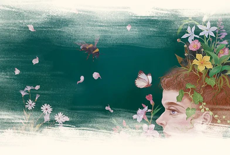 诺奖典藏：《花的智慧》