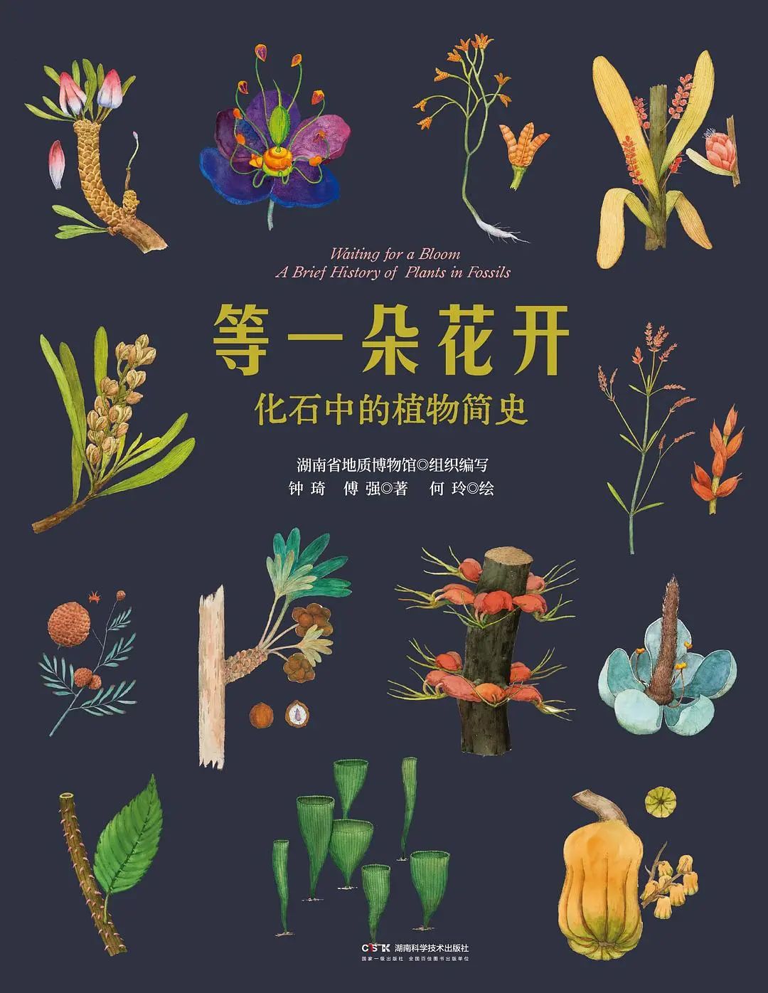 科普书单·新书｜在火星买房