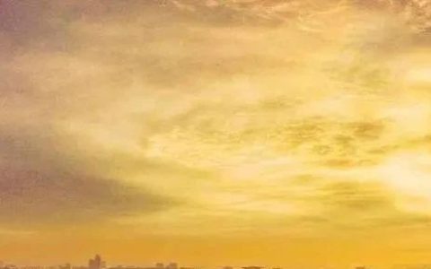 京东新书榜推荐的4本冷门新品好书！