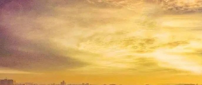 京东新书榜推荐的4本冷门新品好书！